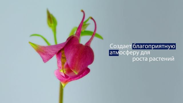 Озонатор VS-OL82