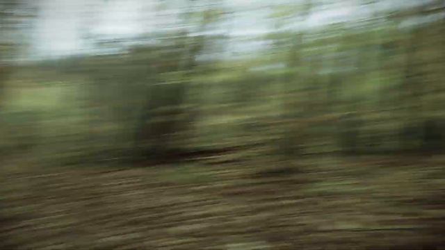 Forest - A Cinematic Short Film (2022) [SONY ZV-E10 & TAMRON 17-70mm]