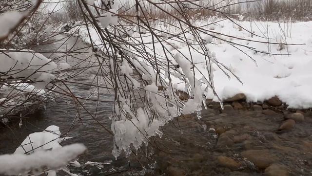 БЕРЕЗЕНЬ ВЕСНА