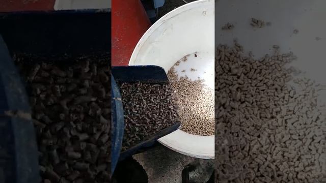 Гранулирую пшеницу 🌾 смотреть онлайн