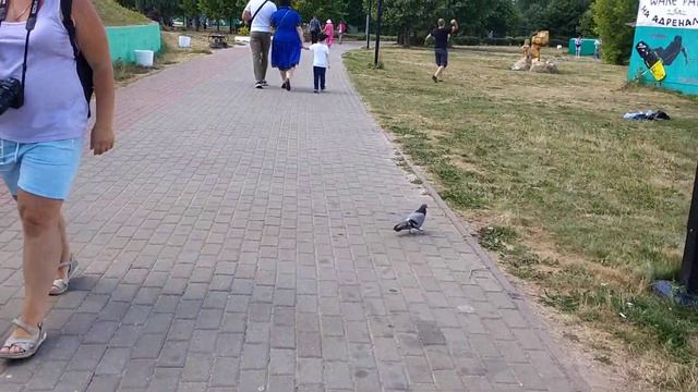 Дубна смотреть онлайн