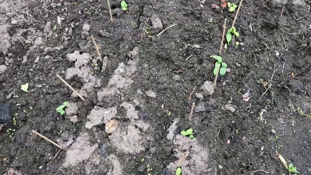 #354 VLOG Сидим дома 🏘 / Реконструкция продолжается / Наконец-то я это сделала смотреть онлайн