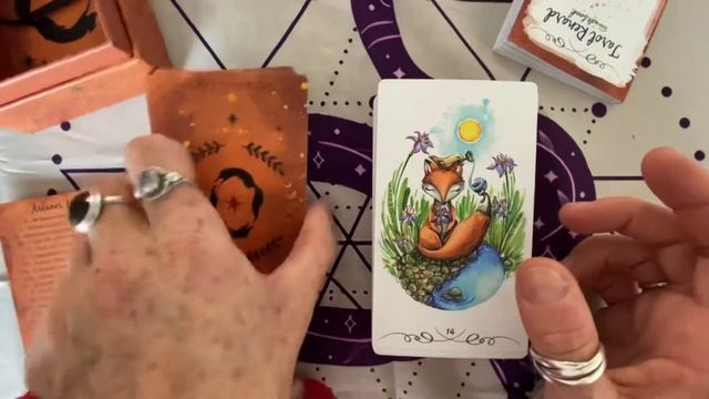 Review le tarot renard de Celia melesville 🦊🦊🦊🦊 смотреть онлайн