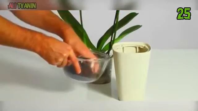 50 четких вещей с али экспрес смотреть онлайн