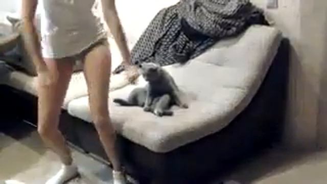 стрип для кота смотреть онлайн