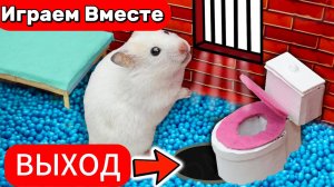 Хомяк сбегает из крутой тюрьмы-лабиринта 🐹🏃 приключения Умного Хомяка 🐹🏃
