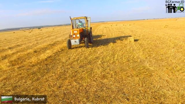 4K ✅ Bolgar TK80 & Welger AP52 🔥 Baling alfalfa 2nd slope 🔥 Small Square Bales 2021 смотреть онлайн