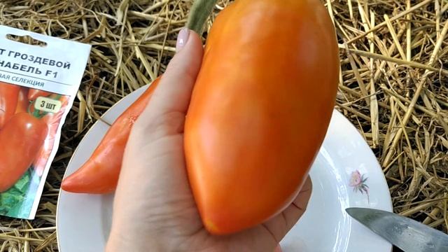 обзор томат ,,🍅 корнабель,, смотреть онлайн