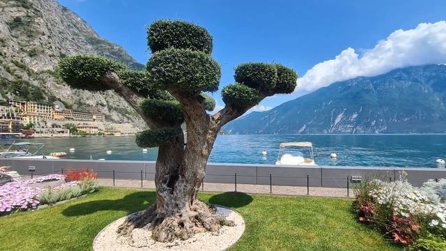 Лимоне-суль-Гарда - июль 2024 года смотреть онлайн
