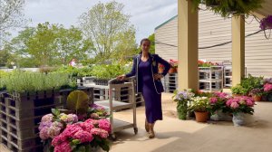 Продуктовый Шопинг | Покупаем Рассаду Фрукты ИТД | Семейный Влог | Эгине | Heghineh