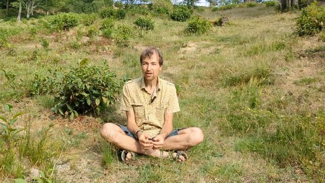 Фестиваль "Сотворение Мира" будет проходить в "Спокойном месте" смотреть онлайн