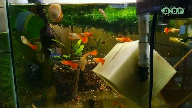 НАКОНЕЦ ТО ВСТРЕТИЛИСЬ ВМЕСТЕ! ОБСУЖДАЕМ ПЛАНЫ НА БУДУЩЕЕ!