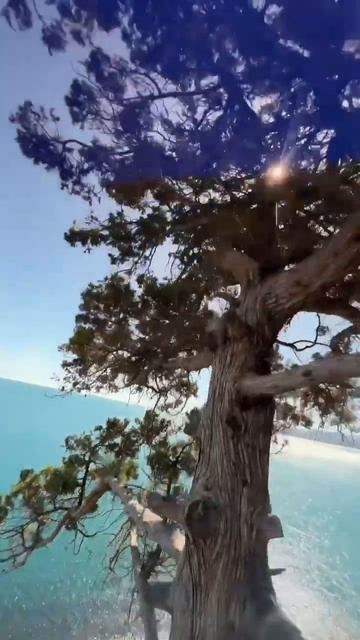 Курорты Краснодарского края ❤️🫶🏻 #путешествие #авто смотреть онлайн