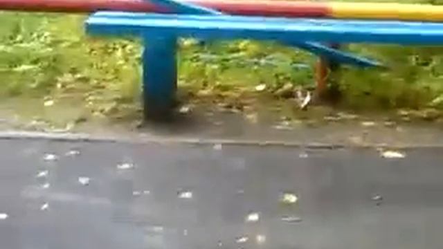 веселые девки смотреть онлайн