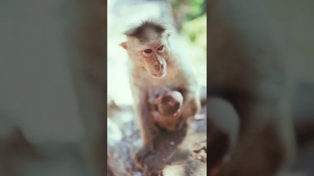 ТОП-15 Безвизовых Стран Для Пляжного Отдыха #пляжный отдых #визы #путешествия #турция2022 #визы2022 смотреть онлайн