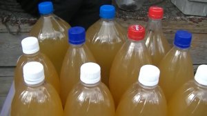 Квас без Дрожжей и Сахара из Берёзового Сока! Длительного Хранения  по Старинному Рецепту!