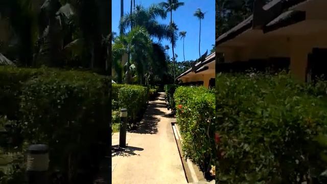 All Seasons Naiharn Пхукет ноябрь-декабрь 2017 смотреть онлайн