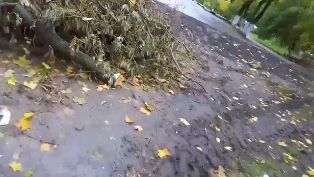 Влог :осень смотреть онлайн
