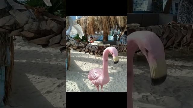 Лидерские каникулы. Турция 2022г. 🏝😍🍹💃🏽🥳 Бесплатная Путевка. Глобал Тренд ! смотреть онлайн