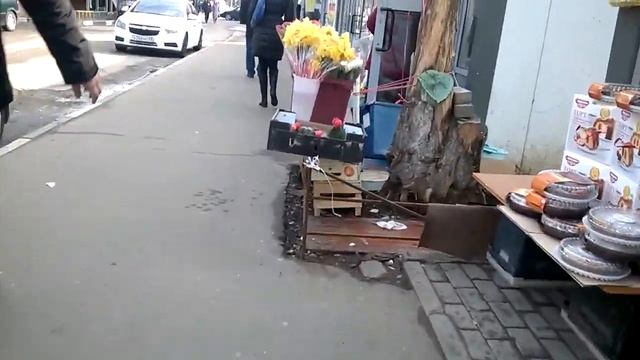 #калькоалександр #экологиямосквы #деревьямосквы Издевательство над деревом смотреть онлайн