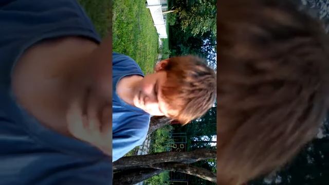 Комментарии о печёрском интернате смотреть онлайн