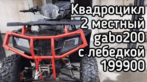 Квадроцикл 200 кубов - ATV 200 2 местный с лебедкой модель 2025 модельный год цена 199900.