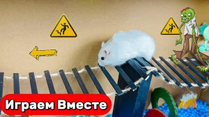 СУПЕР СЛОЖНЫЕ ЛАБИРИНТЫ С ЛОВУШКАМИ ДЛЯ ХОМЯНКА 🐹 Выбираемся вместе с Умным Хомяком 🐹