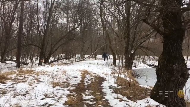 Серебрянный родник смотреть онлайн