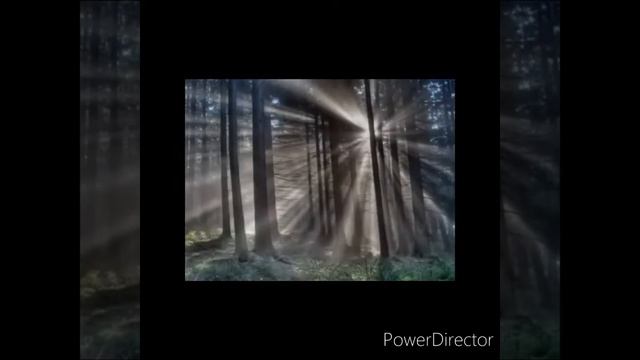 Сборник Елена 45 смотреть онлайн