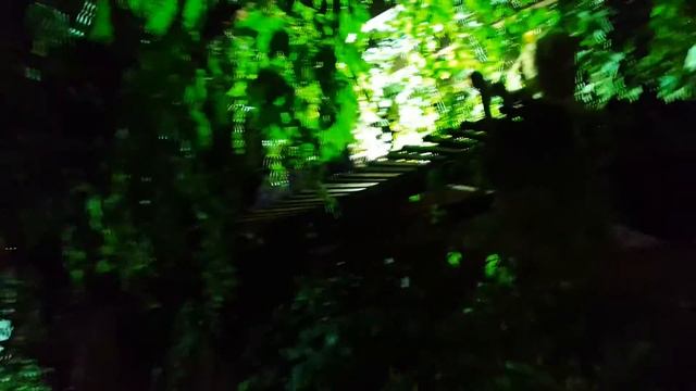 Дагомыс 23.10.2021г. вечер. смотреть онлайн