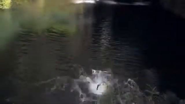 Добро пожаловать в Южную Африку смотреть онлайн