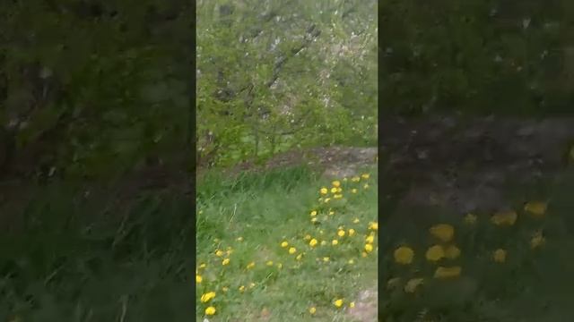 ПРОГУЛКА ПОД ДОЖДЁМ смотреть онлайн