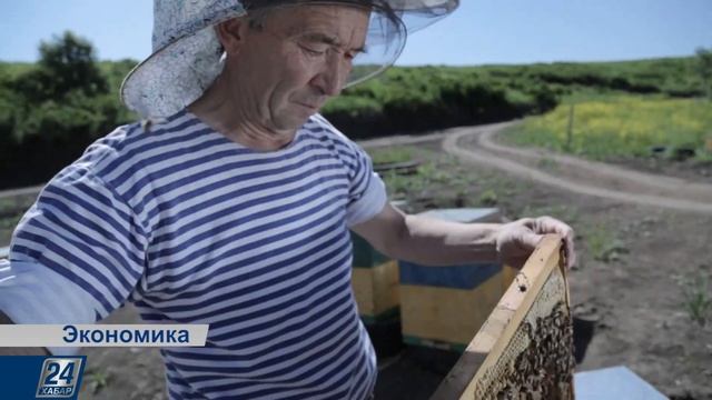 Бал нарығы смотреть онлайн
