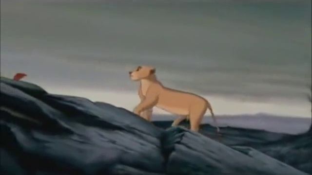Nala and Simba - gotta go my own way смотреть онлайн