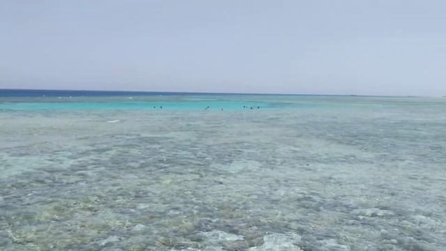 Готель Gravity Sahl Hasheesh 5*, Sharm el Sheikh, пляж і море смотреть онлайн