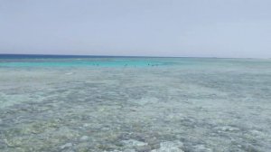 Готель Gravity Sahl Hasheesh 5*, Sharm el Sheikh, пляж і море