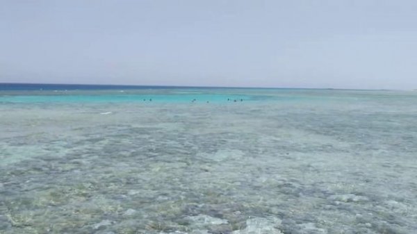 Готель Gravity Sahl Hasheesh 5*, Sharm el Sheikh, пляж і море