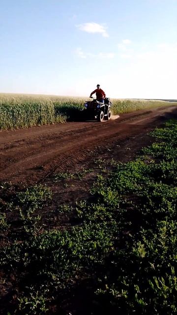 что будет если нажать тормоза и газ в пол БЕРНАУТ!!!!!!!!!!!! смотреть онлайн