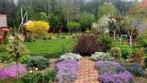 Дача в конце апреля,ты прекрасна-спору нет!!! #дачныебудни 🤗🌸🌲🌼🍀