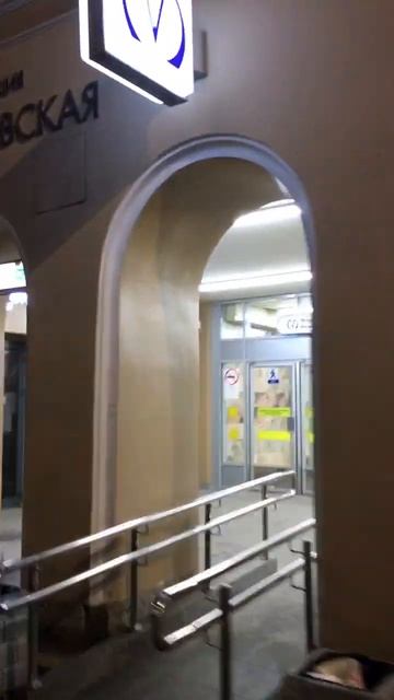 Прогулка по ночному Санкт-Петербургу. Метро Невский проспект. #невский #питер #ночь смотреть онлайн