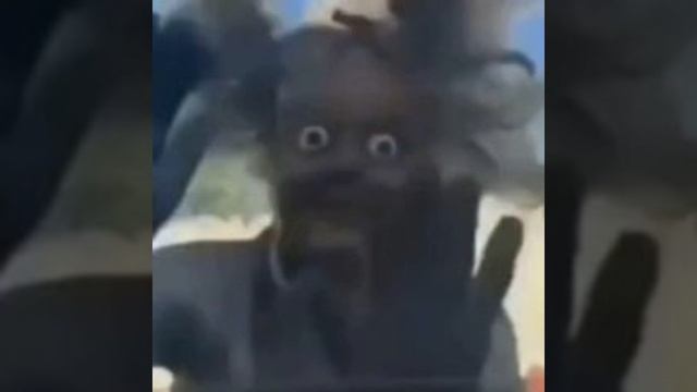 |BONKERS|