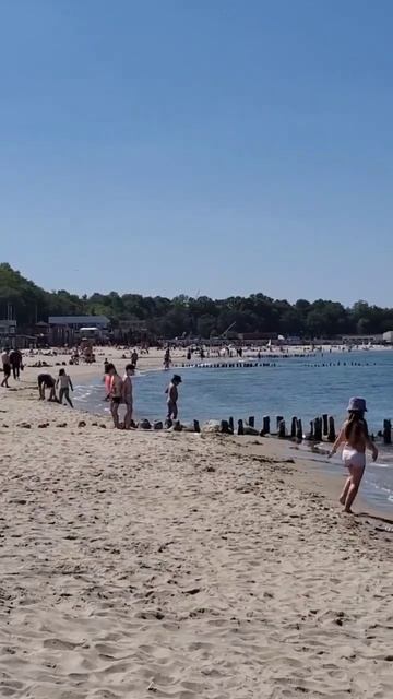 Фильм 4728 Море Жизни #nemosvetlogorsk #minihotelkautikapitananemo смотреть онлайн