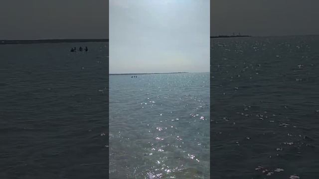 Оленёвка пляж майами смотреть онлайн