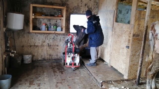 дойка в обед смотреть онлайн