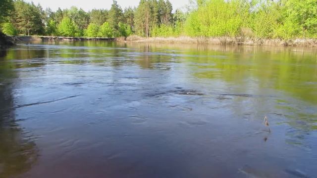 Звуки речки, Буланово, Полтава смотреть онлайн