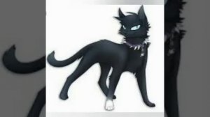 •Коты воители• Бич  [клип Belever]|#2