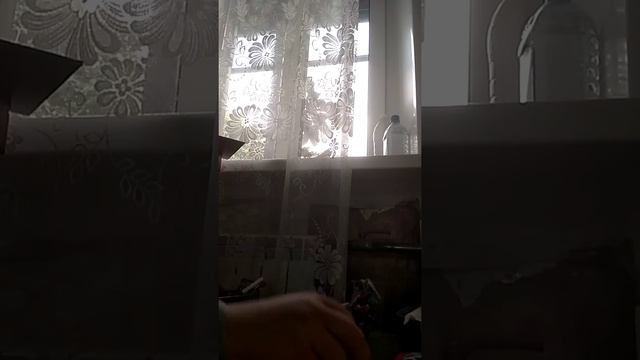 Мультик про куколок лол смотреть онлайн
