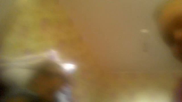 Самая лучшая собака