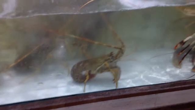 Португалия Морепродукты смотреть онлайн