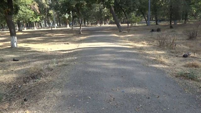 Алмалык Парк Маяковского Almalyk Park Of Mayakovsky смотреть онлайн